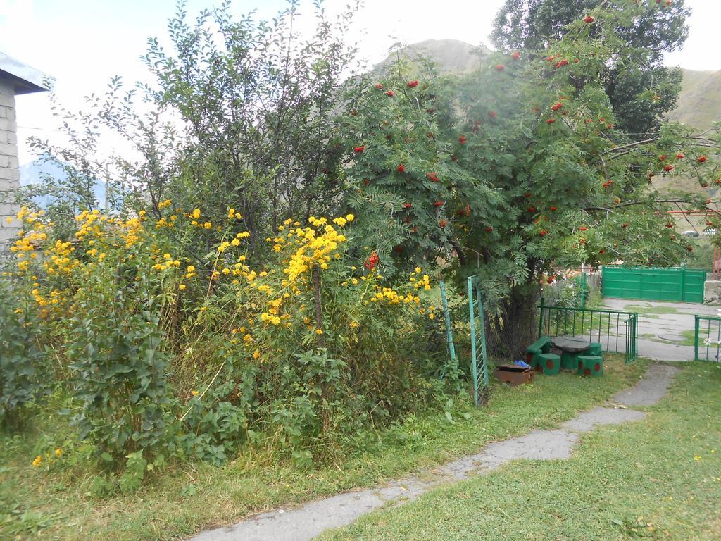 Panorama Kazbegi Stepantsminda Exterior foto